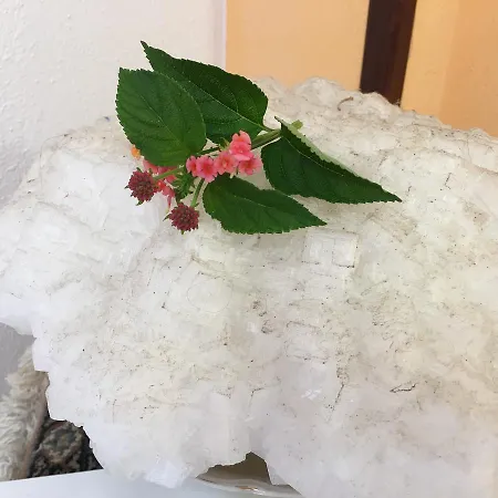Bed & Breakfast La Muciara